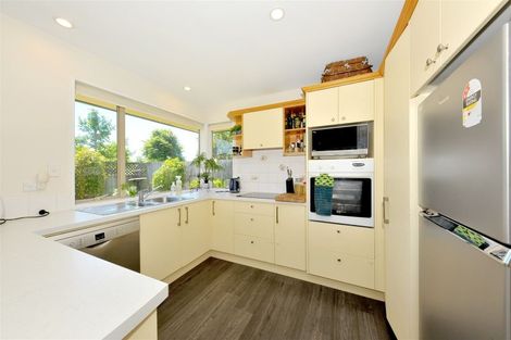 Photo of property in 29 Medway Street, Richmond, Christchurch, 8013