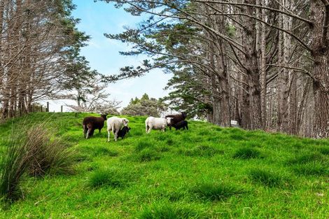 Photo of property in 132b Dormer Road, Waitoki, Helensville, 0875
