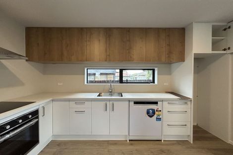 Photo of property in 45c Ryan Street, Phillipstown, Christchurch, 8011