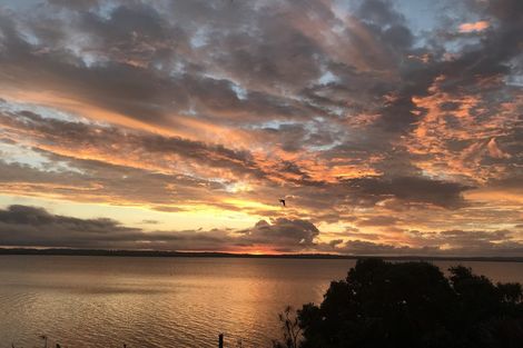 Photo of property in 11c Joan Street, Point Chevalier, Auckland, 1022