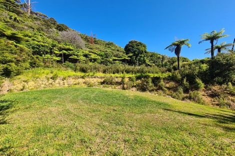 Photo of property in 1092 Driving Creek Road, Coromandel, 3583