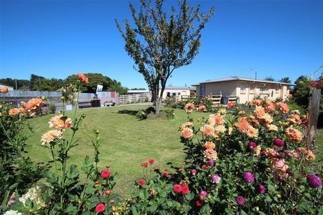 Photo of property in 16 Riverhead Lane, Mataura, 9712