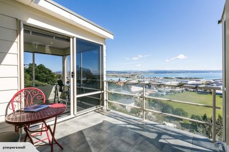Photo of property in 30 Hospital Terrace, Hospital Hill, Napier, 4110