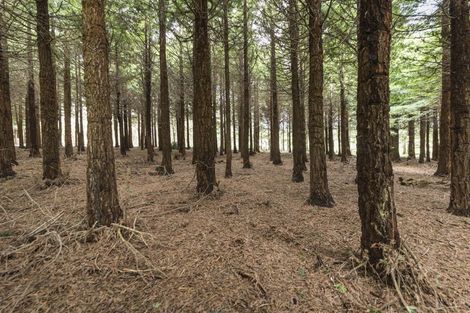 Photo of property in 259 Kahuterawa Road, Linton, Palmerston North, 4472