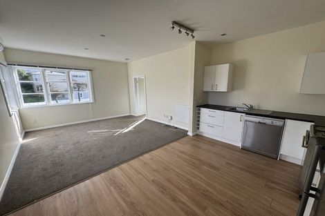 Photo of property in 17 Plunket Street, Kelburn, Wellington, 6012