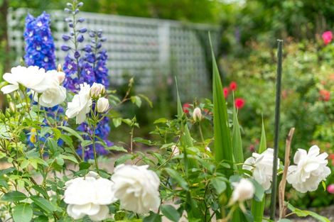 Photo of property in 463 High Street South, Carterton, 5713