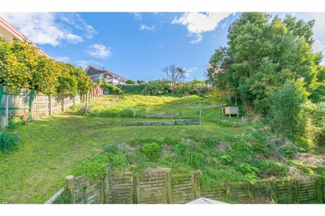 Photo of property in 20 Johnson Street, Dinsdale, Hamilton, 3204