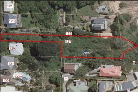 Photo of property in 127 Hornsey Road, Melrose, Wellington, 6023