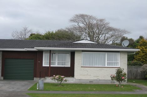 Photo of property in 78 Winchester Street, Levin, 5510