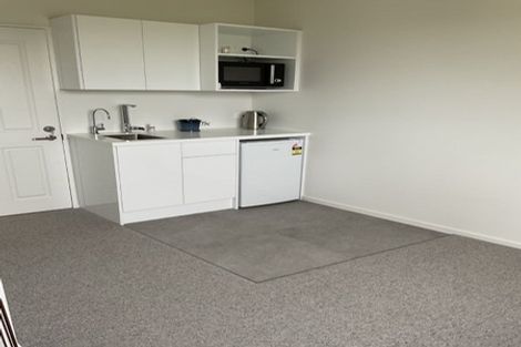 Photo of property in 66d Northpark Road, Newland, Ashburton, 7772