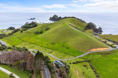 Photo of property in 168 Rockell Road, Whananaki, Hikurangi, 0181