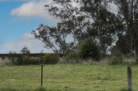 Photo of property in 77-79 Newcastle Street, Hampden, 9410