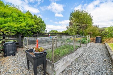 Photo of property in 29 Paekakariki Hill Road, Pauatahanui, Porirua, 5381
