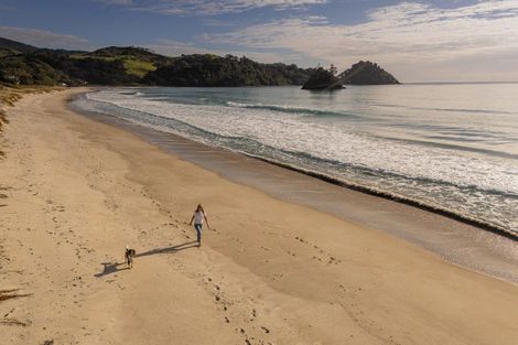 Photo of property in 122 Mangakahia Drive, Whangapoua, Coromandel, 3582