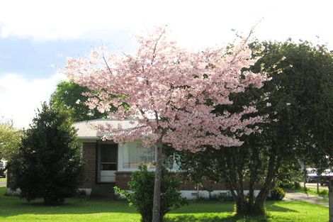 Photo of property in 12 Queen Road, Bellevue, Tauranga, 3110