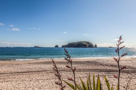 Photo of property in 16 Harsant Avenue, Hahei, Whitianga, 3591