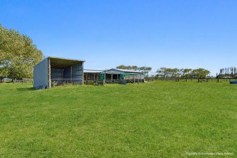 Photo of property in 138 Harris Road, Otaua, Waiuku, 2682