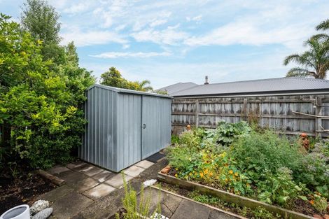 Photo of property in 9 Sovereign Street, The Wood, Nelson, 7010