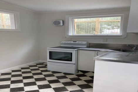 Photo of property in 43 Honiana Te Puni Street, Aro Valley, Wellington, 6021