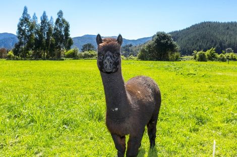 Photo of property in 80b Gilbert Road, Kaitoke, Upper Hutt, 5018