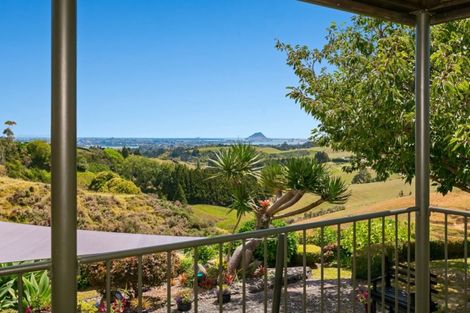 Photo of property in 457 Ohauiti Road, Ohauiti, Tauranga, 3112