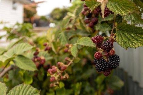 Photo of property in 95 Howick Road, Redwoodtown, Blenheim, 7201