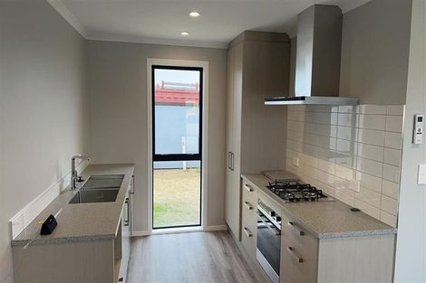 Photo of property in 111 Hinemoa Street, Levin, 5510