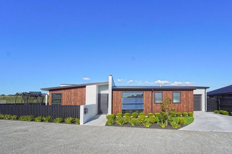 Photo of property in 16 Tanuku Lane, Te Puke, 3119