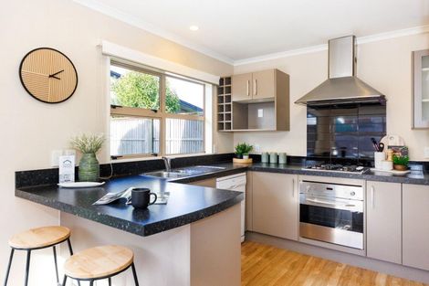 Photo of property in 36c Fitzroy Street, Terrace End, Palmerston North, 4410