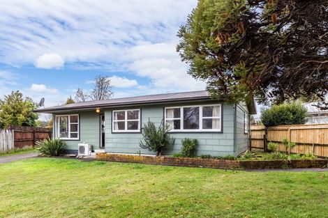 Photo of property in 52 Te Rangitautahanga Road, Turangi, 3334