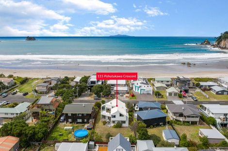 Photo of property in 115 Pohutukawa Crescent, Whangamata, 3620