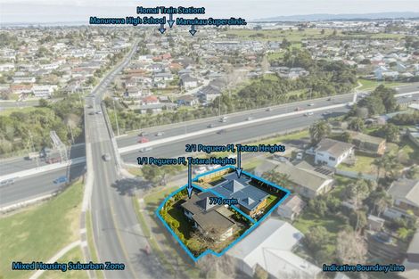 Photo of property in 1/1 Peguero Place, Totara Heights, Auckland, 2105