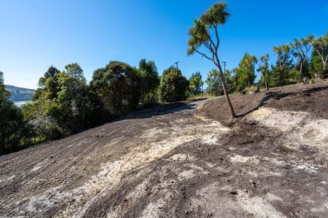 Photo of property in 16 Rowland Street, Osborne, Port Chalmers, 9081