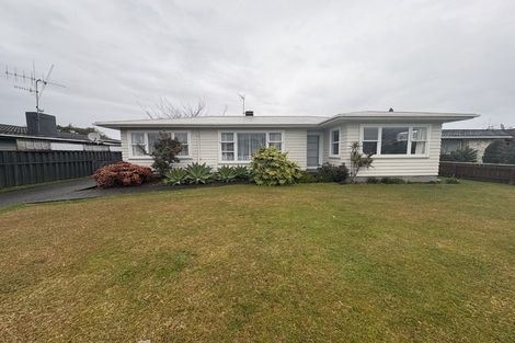 Photo of property in 16 Marlborough Street, Levin, 5510