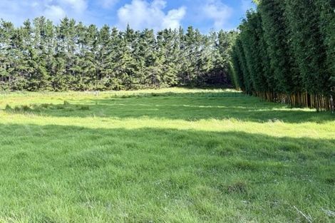 Photo of property in 212c Whalers Road, Pukenui, Kaitaia, 0484