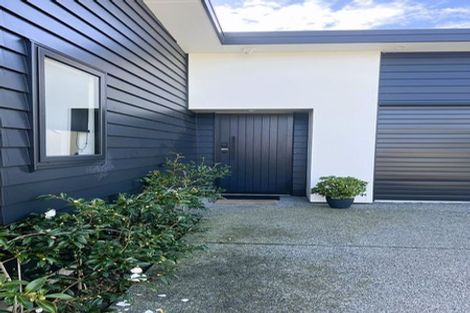 Photo of property in 99c Linton Street, West End, Palmerston North, 4410