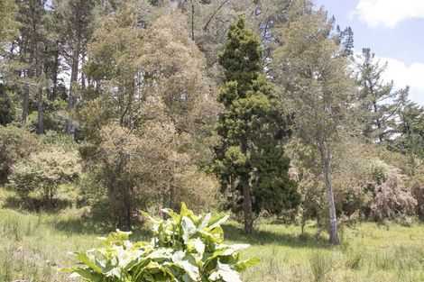 Photo of property in 267 Punakitere Road, Taheke, Kaikohe, 0473