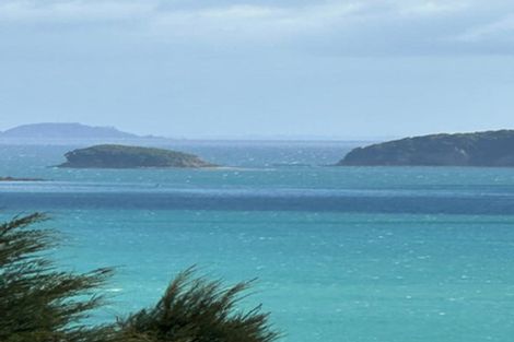 Photo of property in 998 Wyuna Bay Road, Wyuna Bay, Coromandel, 3581