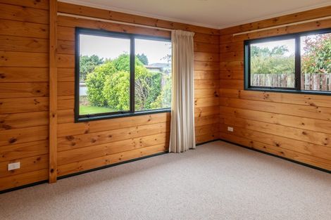 Photo of property in 17 Alexander Street, Winton, 9720