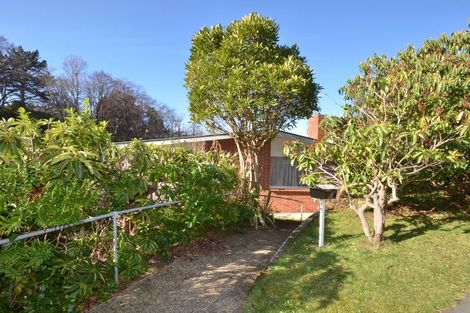 Photo of property in 38 Alva Street, Dunedin Central, Dunedin, 9016