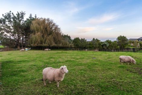 Photo of property in 121 Polo Prince Drive, Totara Park, Manurewa, 2576