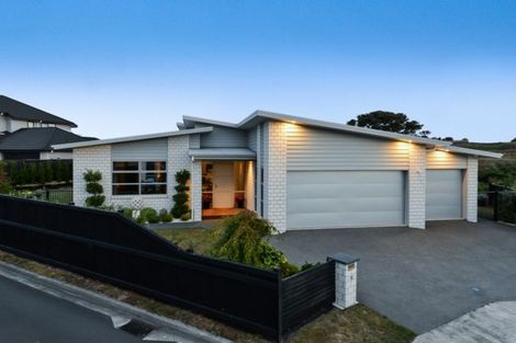 Photo of property in 16 Platina Place, Flagstaff, Hamilton, 3210