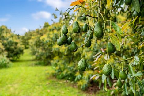 Photo of property in 229 Ngunguru Road, Glenbervie, Whangarei, 0173