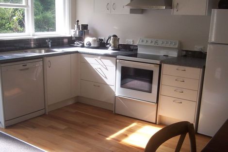 Photo of property in 38 Alva Street, Dunedin Central, Dunedin, 9016