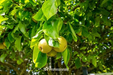 Photo of property in 10 Laredo Grove, Totara Park, Upper Hutt, 5018