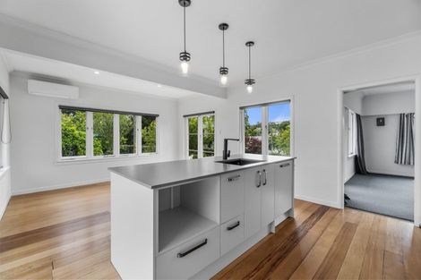 Photo of property in 215 River Road, Claudelands, Hamilton, 3214