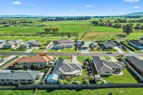 Photo of property in 22 Vogel Place, Te Aroha, 3320