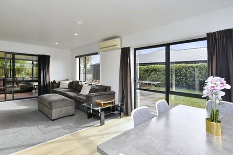 Photo of property in 3 Parkinson Place, Woodend, 7610