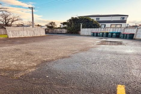 Photo of property in 46 Ivanhoe Road, Grey Lynn, Auckland, 1021