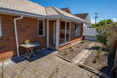 Photo of property in 3 Andrew Street, Blenheim, 7201